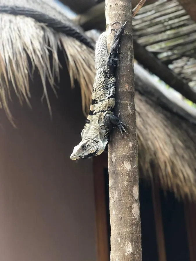 Casa Nalum Villa Tulum 0*,